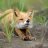 foxeg